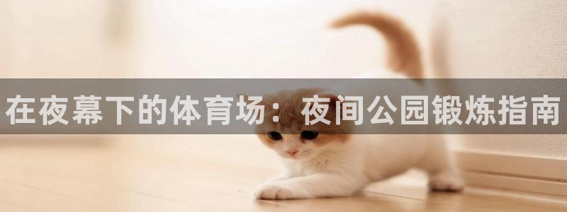 富联娱乐平台开户流程:在夜幕下的体育场:夜间公园锻炼指南