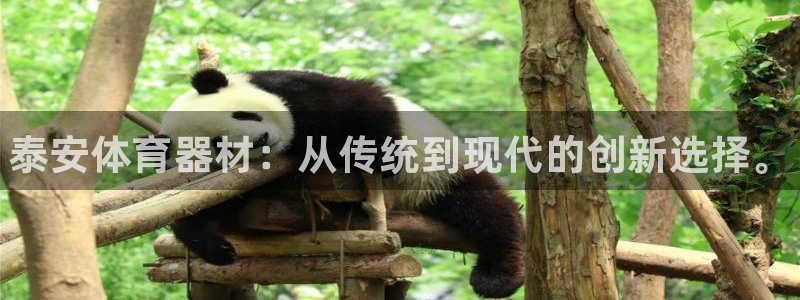 富联娱乐客户端app下载服务器错误:泰安体育器材:从传统到现