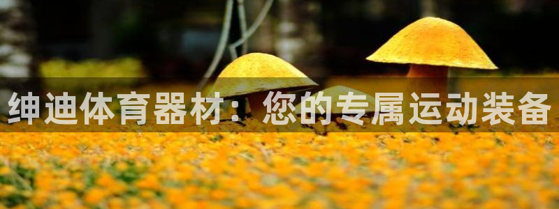富联平台招商怎么样:绅迪体育器材:您的专属运动装备